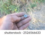 Treasure with a metal detector. A treasure hunter digs up found objects, coins, antiques, shows them on camera and explains their possible value or history.