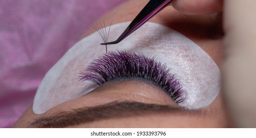 Treatment beauty procedure of upgrade with purple Eyelashes Extension with tweezers Woman Eyes with long extended colorful lashes