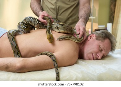 Treatment Of Depression With Snakes Energy. Mature Man In Spa Salon Receiving Snakes Massage. Animal Therapy For Body Treatment.