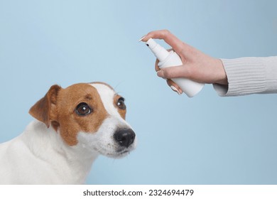 treatment of dogs from ticks and fleas, the concept of treating dogs