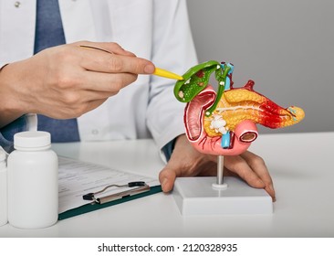 Treatment of gallbladder diseases and cholelithiasis. Doctor demonstrations gallbladder on anatomical medical model for analysing and treatment gallbladder disease - Shutterstock ID 2120328935