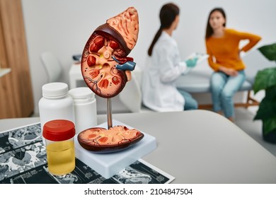 Treatment of kidney diseases at urology. Urologist consultation for adult woman with kidney pain while visit at medical clinic