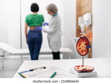 Treatment of kidney diseases at urology. Urologist palpation woman's back with kidney pain while consultation at medical clinic - Shutterstock ID 2160806643