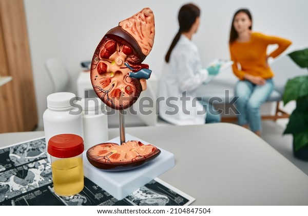 Treatment of kidney diseases at urology. Urologist\
consultation for adult woman with kidney pain while visit at\
medical clinic