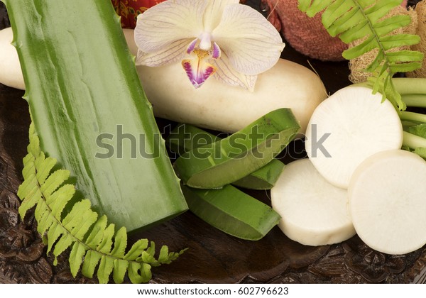 Treatment Radish Aloe Vera Helps Whiten Stock Photo Edit Now