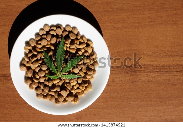 HOW ARE CBD TREATS FOR DOGS AND CATS PRODUCED?