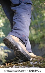 treck in forest