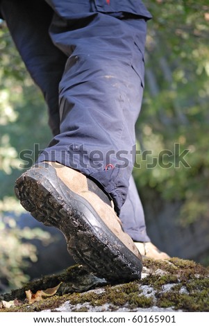treck in forest