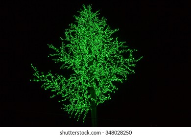 tree