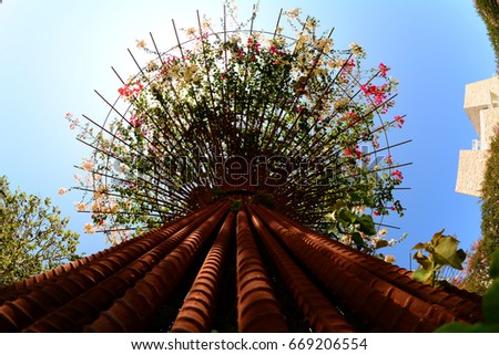 tree