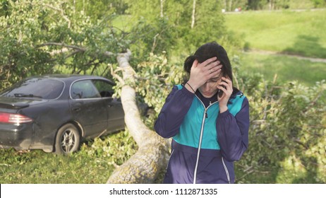 the tree after the hurricane fell on the car, the girl calls the rescuers