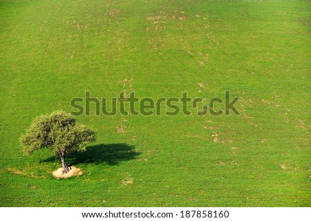 Similar – Image, Stock Photo Environmental protection?