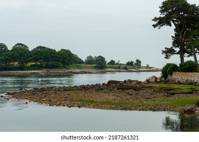 Tree Alongside A Stone Wall And Bay In Beverly, Massachusetts 