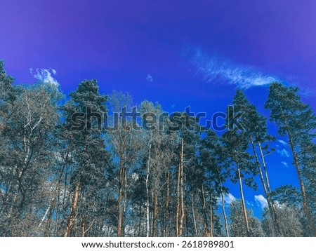 A tree in april forest