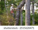 Tree arborist using chainsaw to cut tree down, while wearing safety gear.