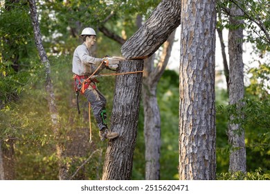 Tree arborist using chainsaw to cut tree down, while wearing safety gear. - Powered by Shutterstock