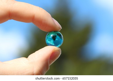 tree in the ball