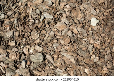 tree bark 