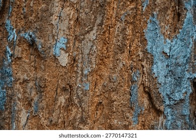 tree bark, background, texture, genus Trentepohlia, rusty orange algae, filamentous green algae, tree trunk, damp,