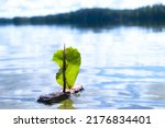Tree bark boat at river during summer, bright day light. Sail boat made of tree bark and green leaf. Playing with handmade toy boat at river.