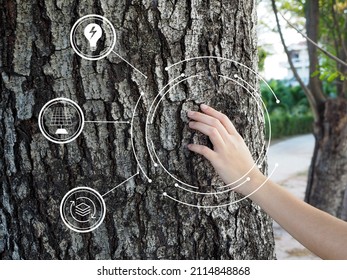 Tree bark growing from fertile soil with icon of earth and energy concept. eco concept with technology