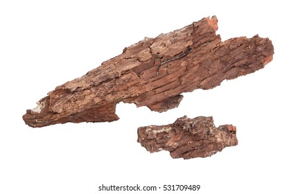 Tree Bark Isolated On A White Background