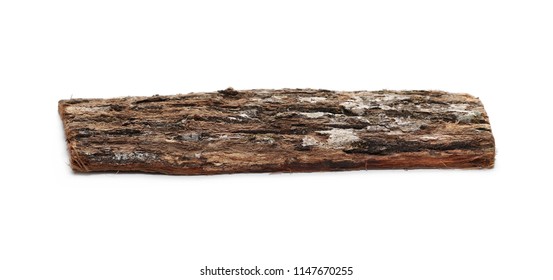 Tree bark with lichen isolated on white background and texture, side view