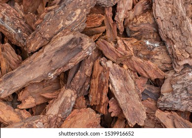 Tree bark natural background wallpaper backdrop. Brown natural pieces of sliver of wood bark. Deciduous kitchen bark texture - Shutterstock ID 1539916652