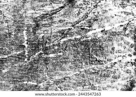 Tree bark pattern texture background 