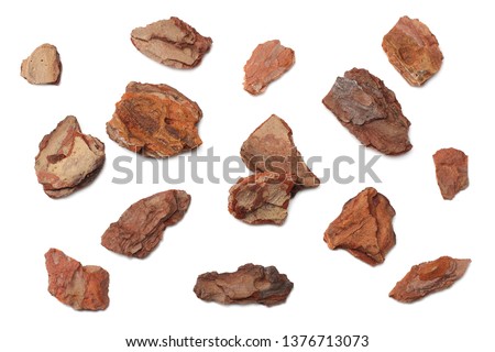 Tree bark pieces isolated on white background. top view