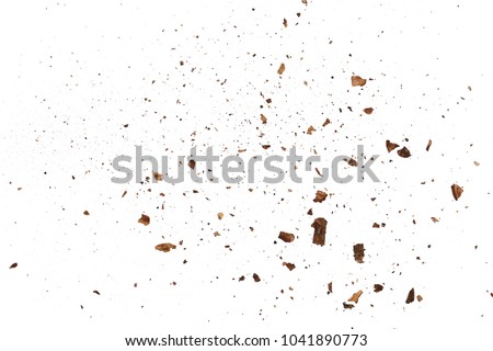 Tree bark pieces, organic plant texture isolated on white background, top view