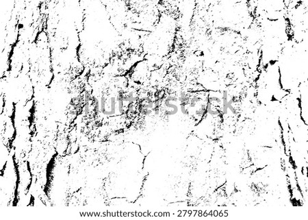Tree Bark Texture Overlay with Distressed Grunge Background