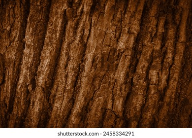 Tree bark texture pattern, old maple wood trunk as background