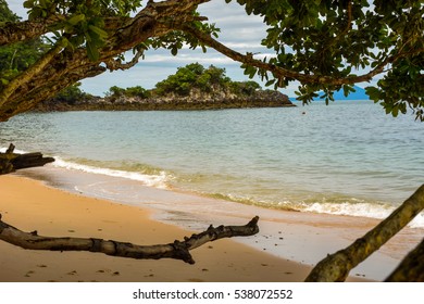 tree and beach at koh payam, ranong province