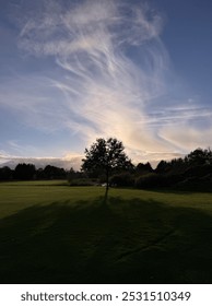 the tree behind which the sun sets