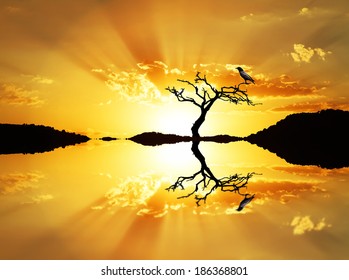 the tree the bird