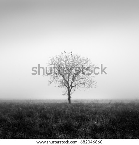 Similar – Image, Stock Photo be cold Environment Nature