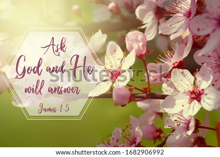 Tree blooming in spring with a bible verse form the book of James