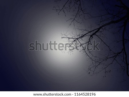 Similar – Frostige Dezembernacht. Der Mond scheint auf Obstbäume die im hohen Schnee stehen und im Eisnebel verschwinden.