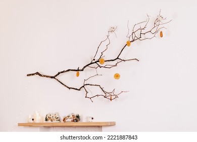 A tree branch decorated with dried orange slices hanging on a white wall in a home interior.Creative natural Christmas garland.Eco-friendly New Year and Christmas decor.