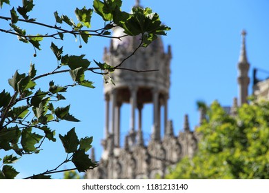 Tree Branch In Front Of The Top Of Casa Lleó Morera