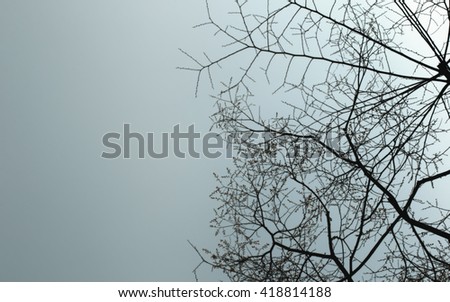 Similar – Foto Bild Fog Nebel Baum