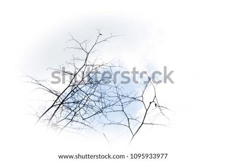 Similar – Foto Bild Fog Nebel Baum