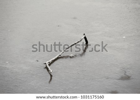 Similar – Snowy Bunting Twig Snowcap