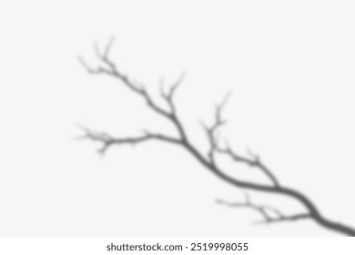 Ilustración sombra rama árbol