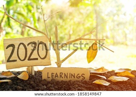 A tree branch with a single remaining last leaf hanging beside a 2020 Learning sign at sunset. Life lessons and learnings from the year 2020 concept.
