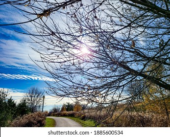 Tree Branches Blocking Sun In An Autumn Afternoon In The Bike Trail