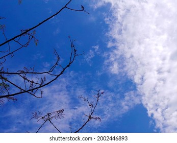 Aesthetic awan 47+ Gambar