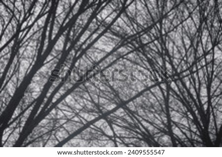 Similar – Image, Stock Photo Forest & Trees Environment