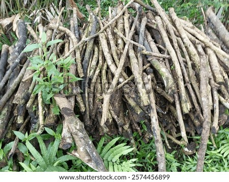 
Tree branches are collected on the side of the road